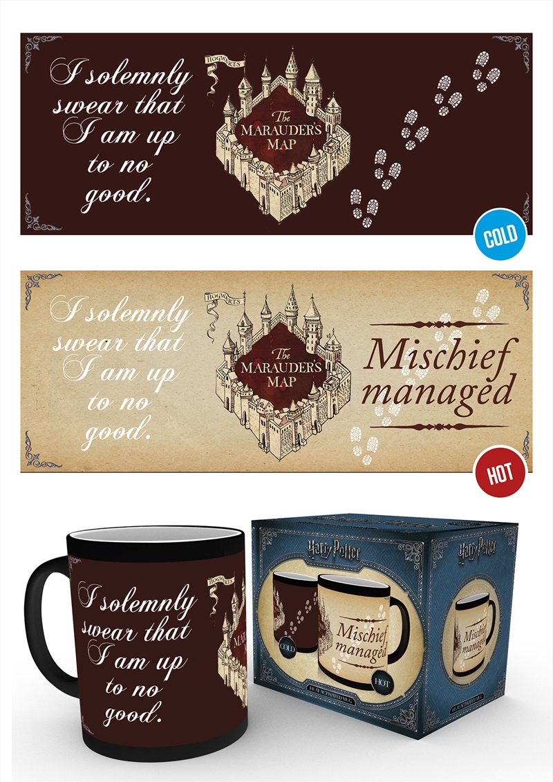 Harry Potter Solemnly Swear/Product Detail/Mugs