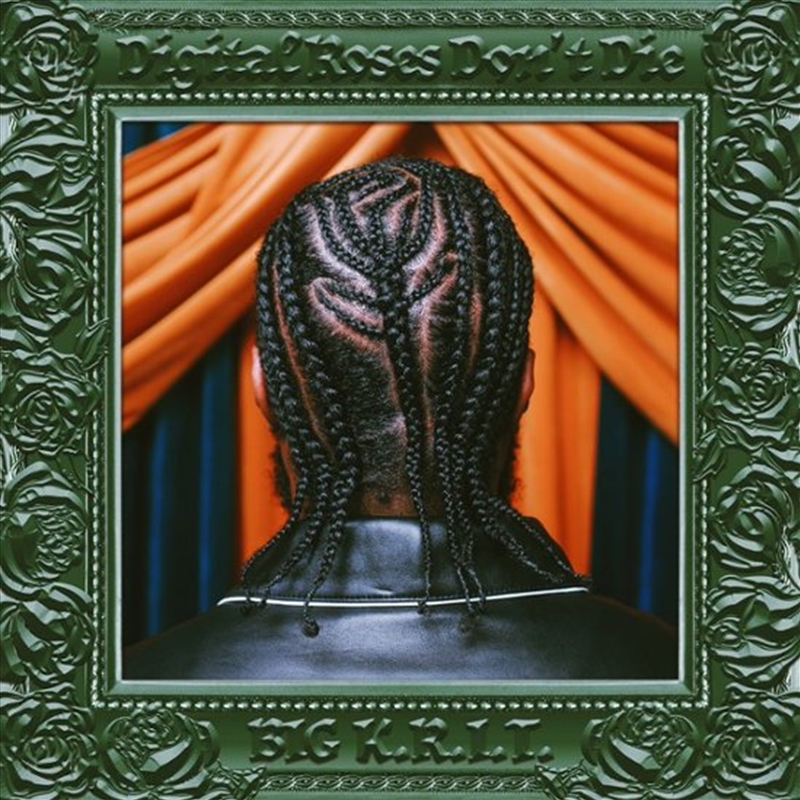 Digital Roses Dont Die/Product Detail/Rap