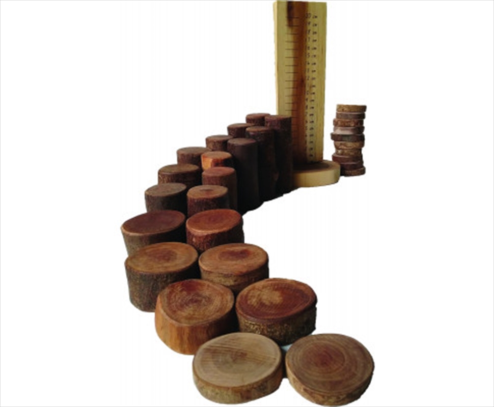 Tree Maths Set With Ruler/Product Detail/Educational