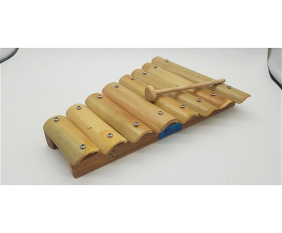 Buy Bamboo Xylophone Online Sanity
