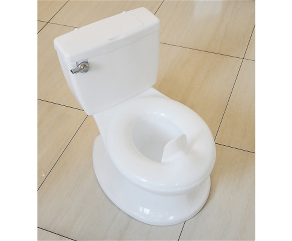 Potty Toilet Trainer/Product Detail/Accessories