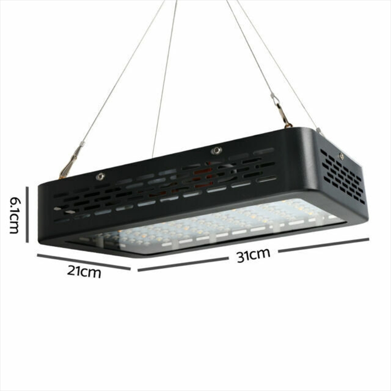 1000w Led Grow Light Full Spectrum/Product Detail/Lighting