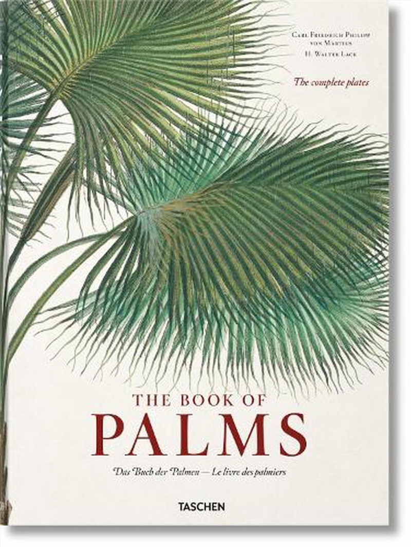 Martius Book Of Palms/Product Detail/Arts & Entertainment