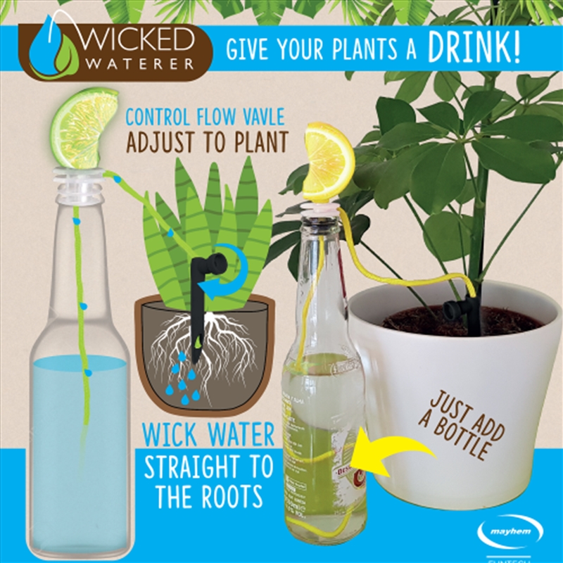 Buy Wicked Waterer Plant Watering System Online Sanity