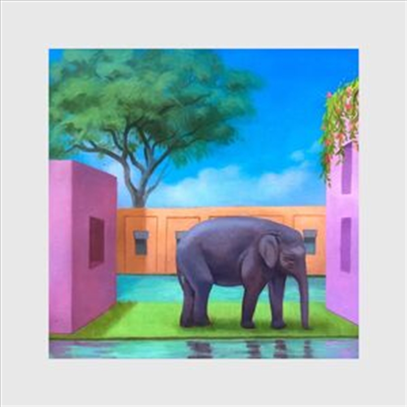 Elephant In The Room/Product Detail/Dance