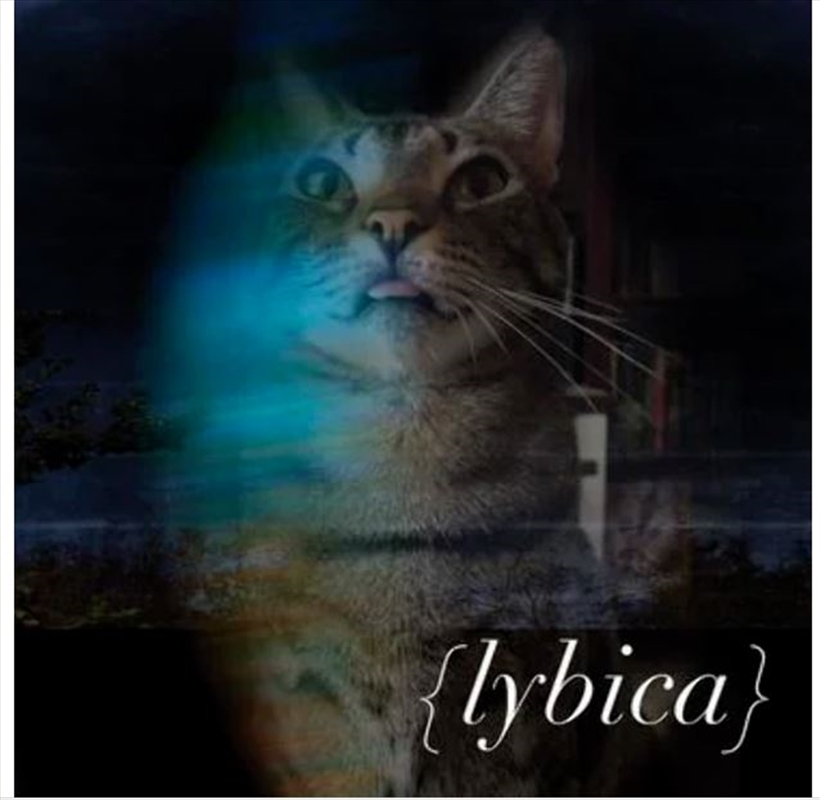 Lybica/Product Detail/Rock/Pop