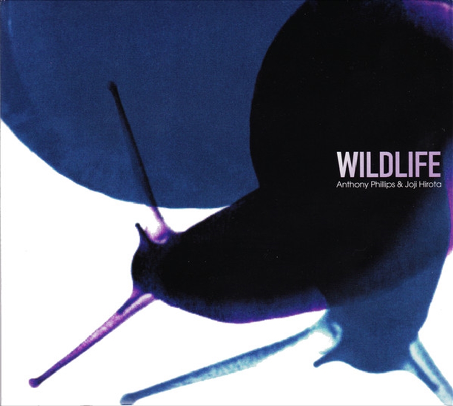 Wildlife/Product Detail/Rock/Pop