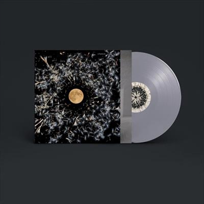 All Of This Is Chance - Silver Vinyl/Product Detail/Blues