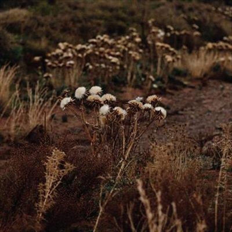 Fundamental Nature Of Being P2/Product Detail/World