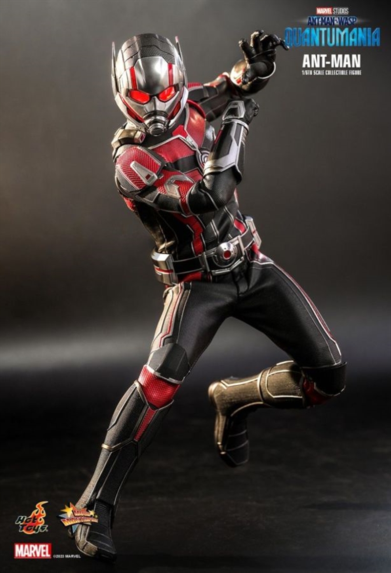 Ant-Man and the Wasp: Quantumania - Ant-Man 1:6 Scale Action Figure/Product Detail/Figurines
