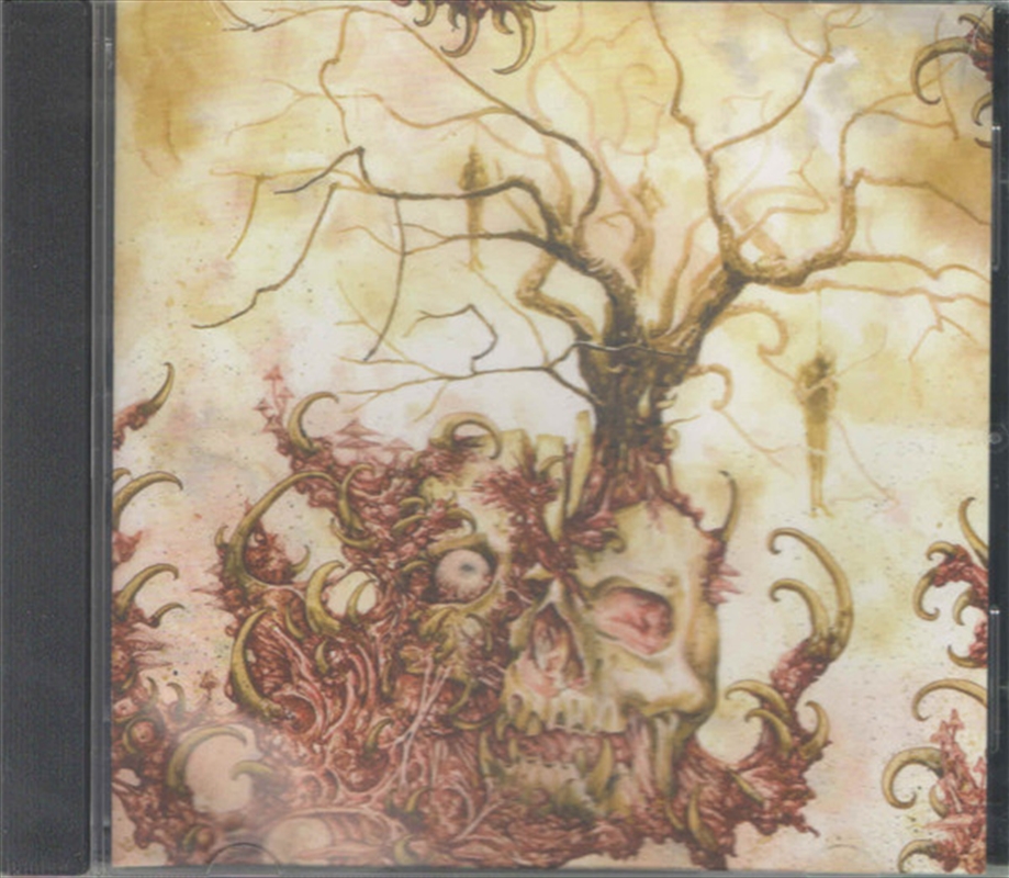 Lifelong Death Fantasy/Product Detail/Pop