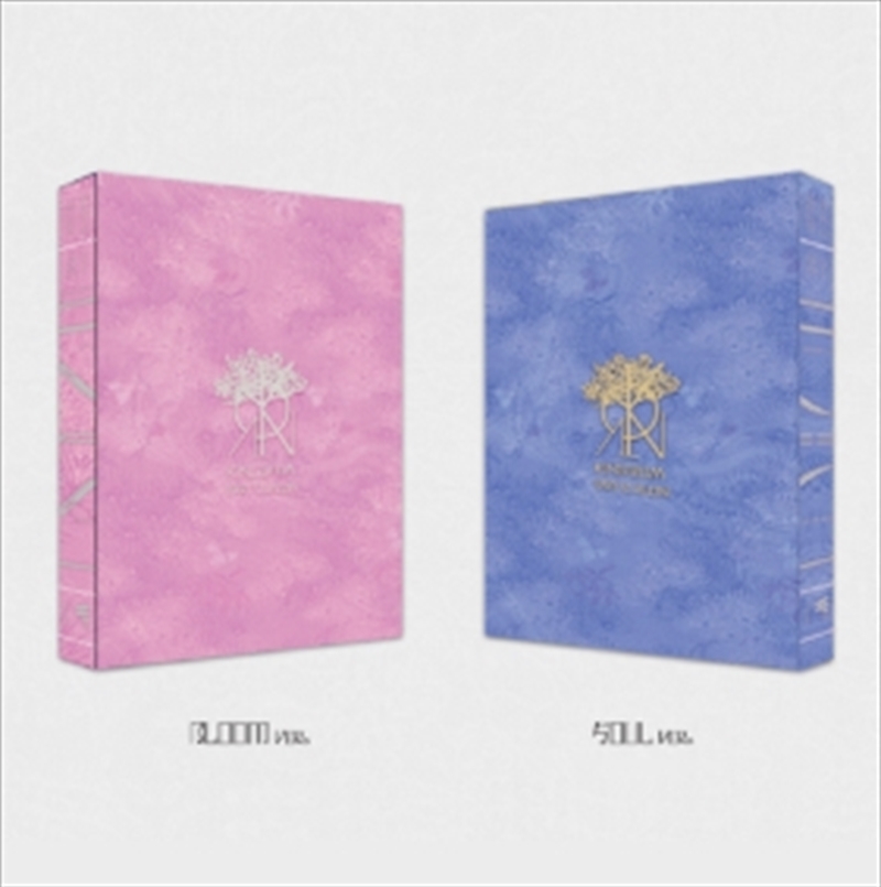 History Of Kingdom Part VI Mujin/Product Detail/World