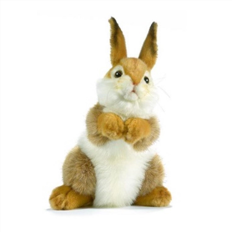 Bunny Plush 30cm/Product Detail/Plush Toys