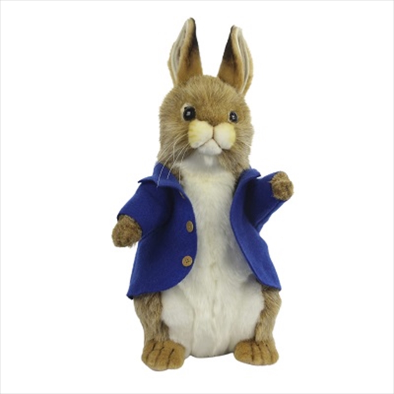 Bunny Male Plush 35cm/Product Detail/Plush Toys