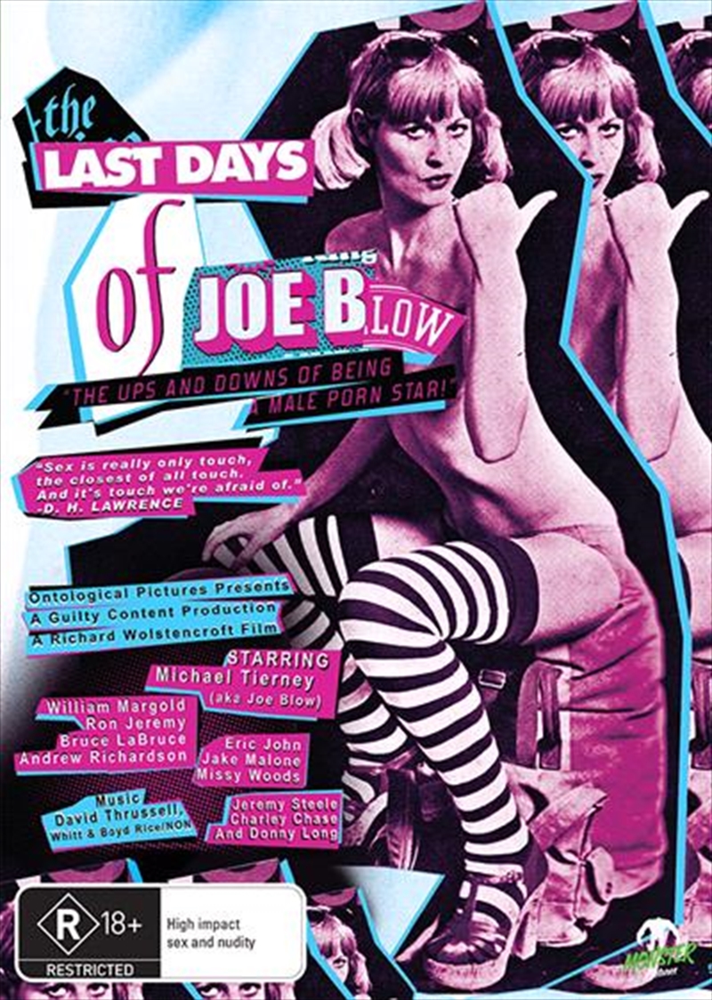 Last Days Of Joe Blow, The/Product Detail/Documentary