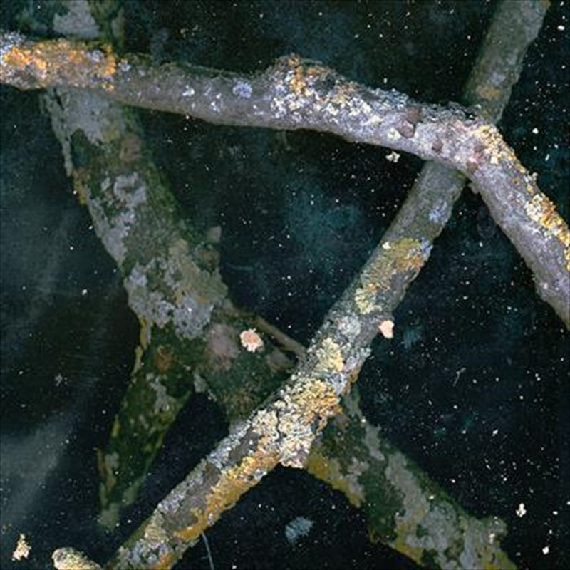 B/Product Detail/Specialist