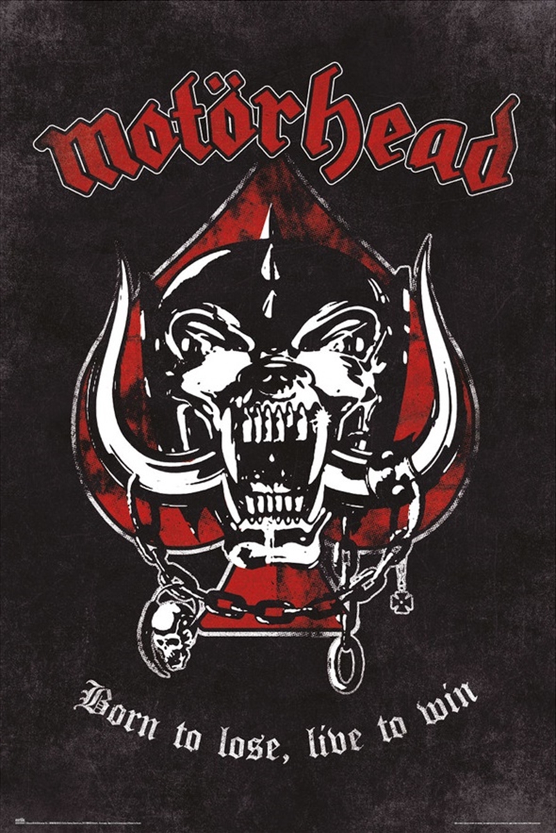 Motorhead Born to Lose Poster/Product Detail/Posters & Prints
