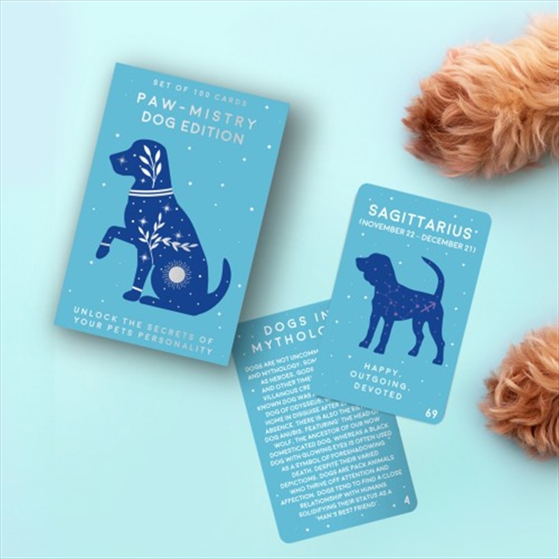 Paw-Mistry Dog Edition Cards/Product Detail/Card Games