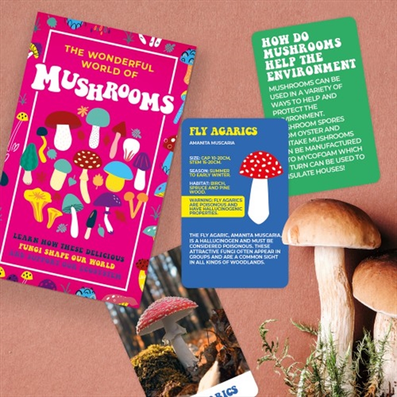 The Wonderful World Of Mushrooms/Product Detail/Card Games