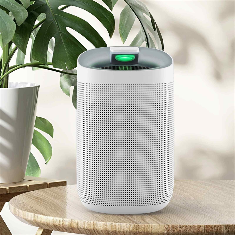 Buy MyGenie 2in1 Air Purifier and Dehumidifier WIFI Control HEPA