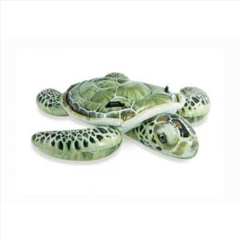 Intex Ride On - Sea Turtle/Product Detail/Sport & Outdoor