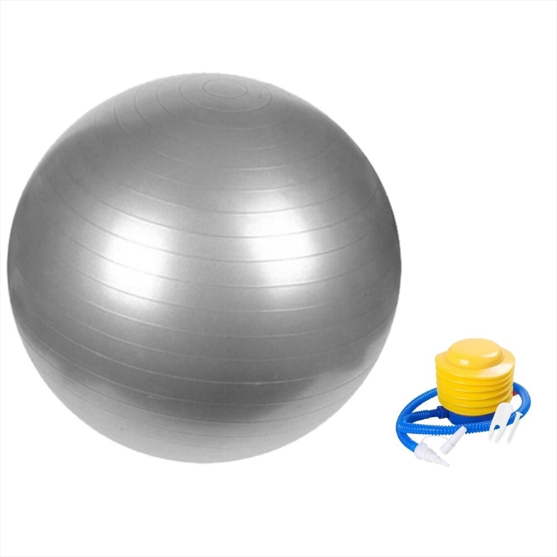 VERPEAK Yoga Ball 65cm (Silver) FT-YB-103-SD / FT-YB-103-ZM/Product Detail/Gym Accessories