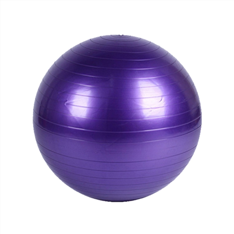 Verpeak Yoga Ball 55cm (Purple)/Product Detail/Gym Accessories