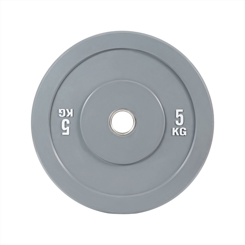 Verpeak Colour Bumper Plate 5KG x 2 Gray VP-WP-105-FP/Product Detail/Gym Accessories
