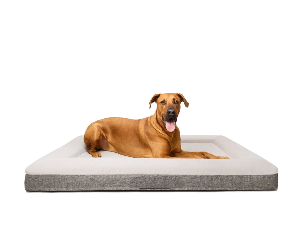 Buy Fur King Ortho Orthopedic Dog Bed XL Online Sanity