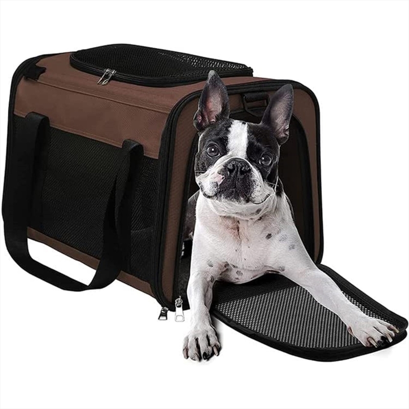 Buy Floofi Portable Pet CarrierL Size (Brown) FIPC139FCQ Online