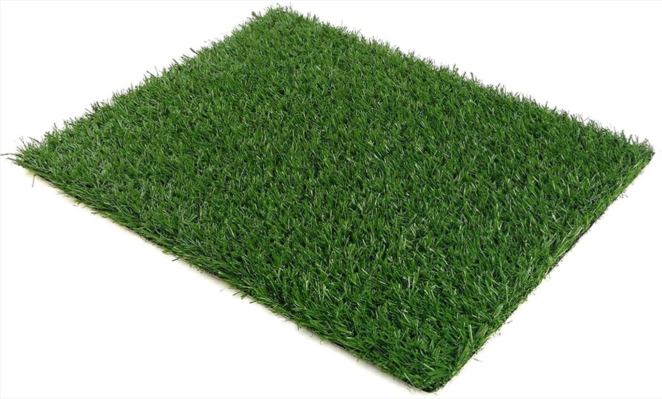 Floofi Pet Grass Mat 1 Piece PT-LM-110-FE / PT-LM-110-JL/Product Detail/Pet Accessories