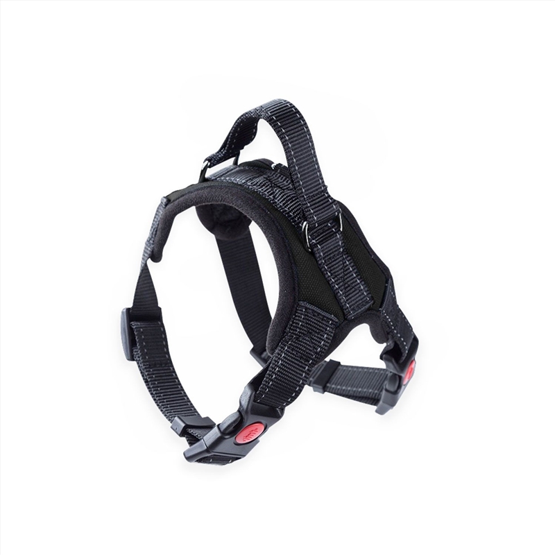 FLOOFI Dog Harness L Size (Black) FI-PC-157-XL/Product Detail/Pet Accessories