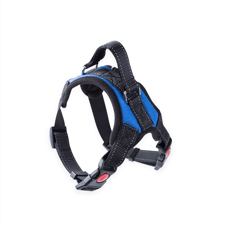 FLOOFI Dog Harness L Size (Blue) FI-PC-155-XL/Product Detail/Pet Accessories