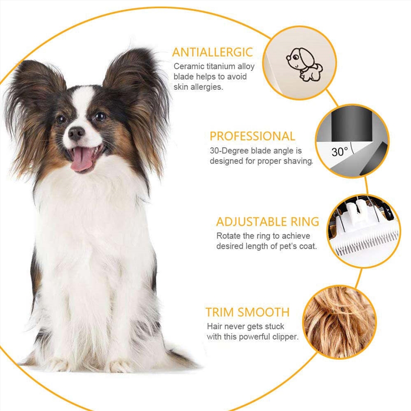 Pet Grooming Kit/Product Detail/Pet Accessories