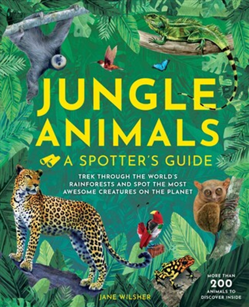 Jungle Animals/Product Detail/Early Childhood Fiction Books