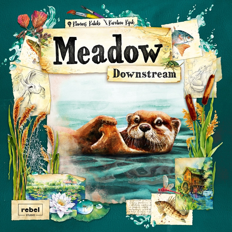 Meadow Downstream Expansion/Product Detail/Board Games