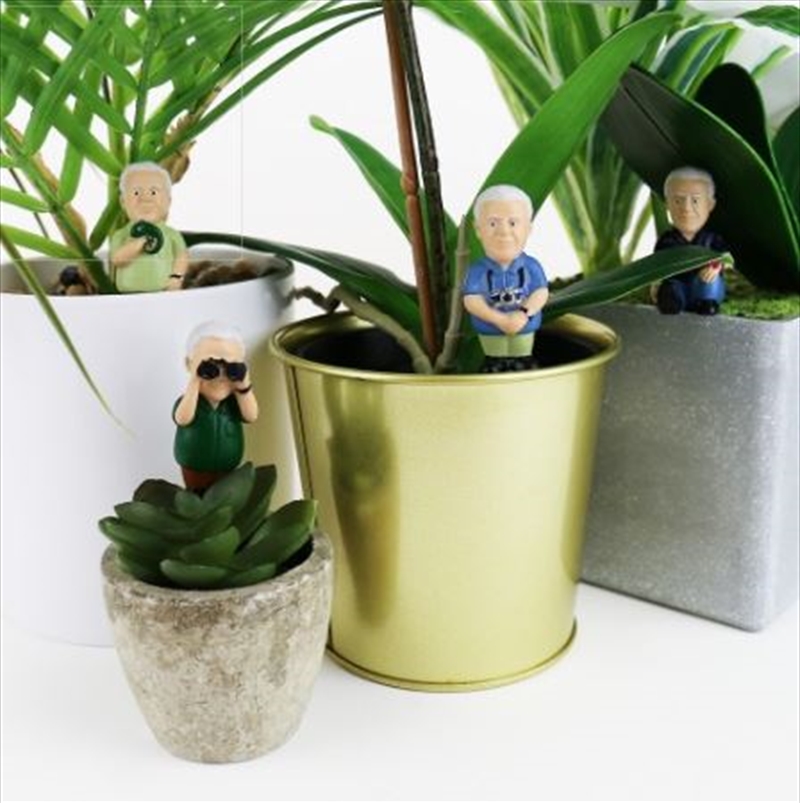 Mini Plant Pot Attenborough Explorers/Product Detail/Homewares