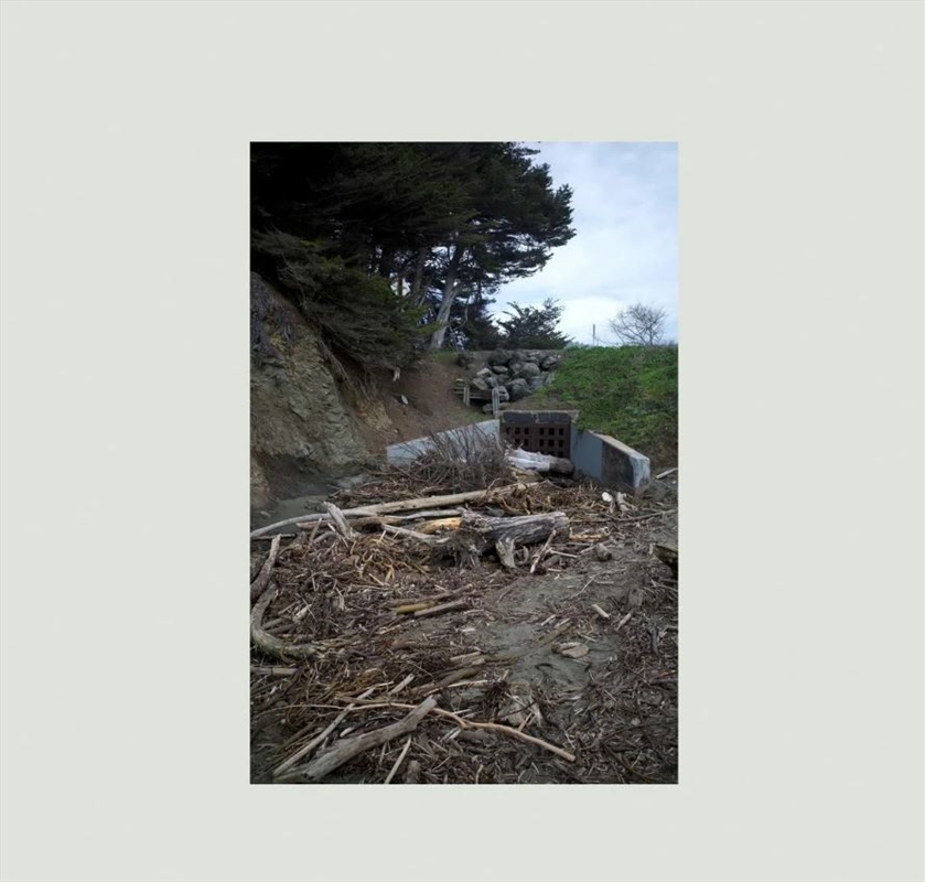 Five Easy Hot Dogs/Product Detail/Alternative