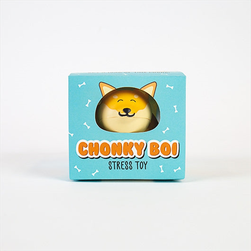 Chonky Boi Stress Toy/Product Detail/Toys