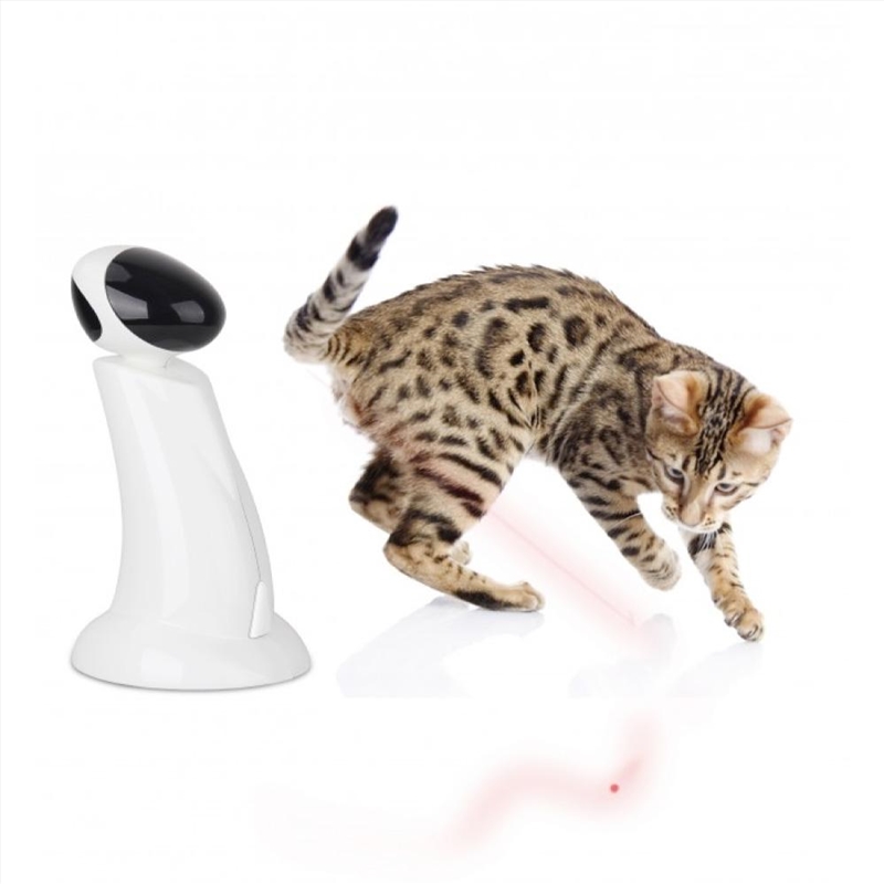 Laser Beam Cat Toy - Interactive/Product Detail/Pet Accessories
