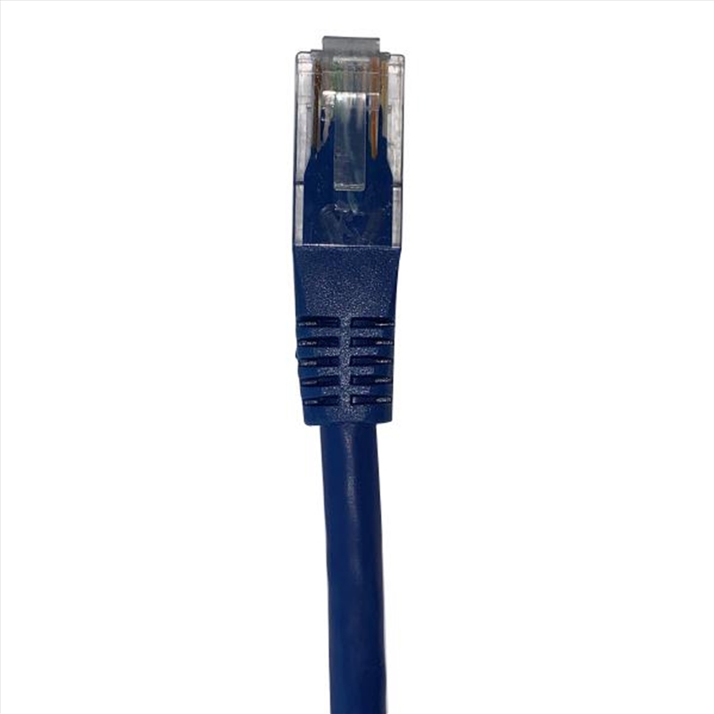 Shintaro Cat6 24 AWG Patch Lead Blue 15m/Product Detail/Cables