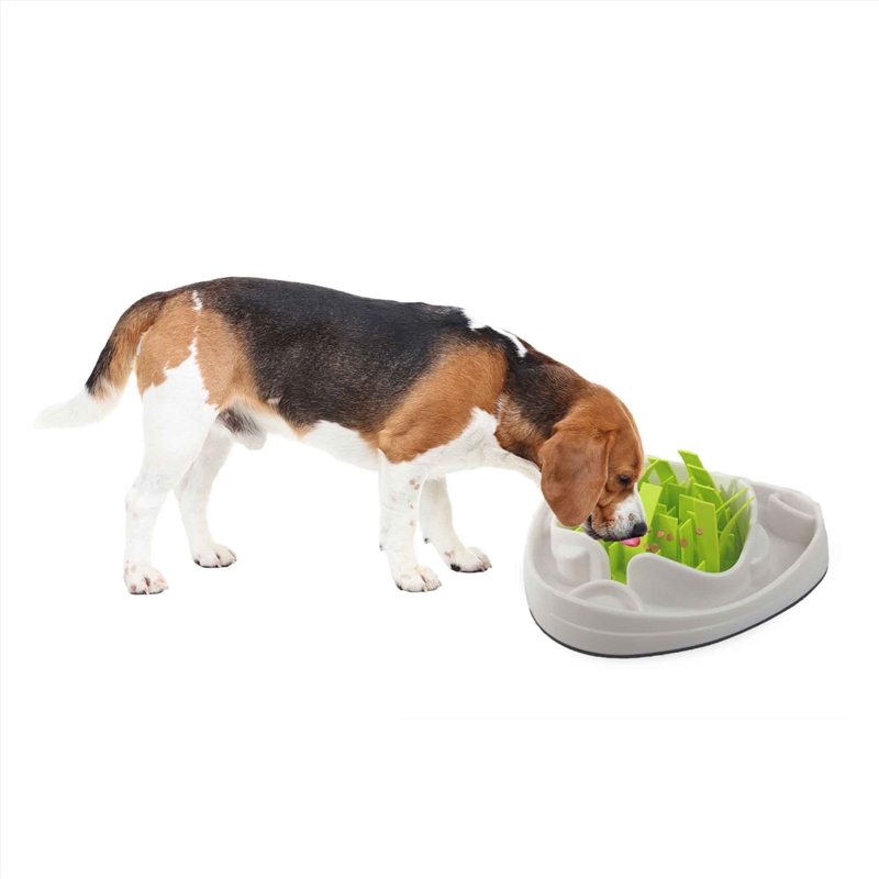 Dog Slow Feeder Bowl - Interactive Puzzle Anti Gulp Puppy Eating Maze/Product Detail/Pet Accessories