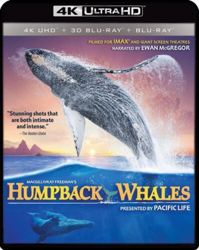 Imax: Humpback Whales/Product Detail/Documentary