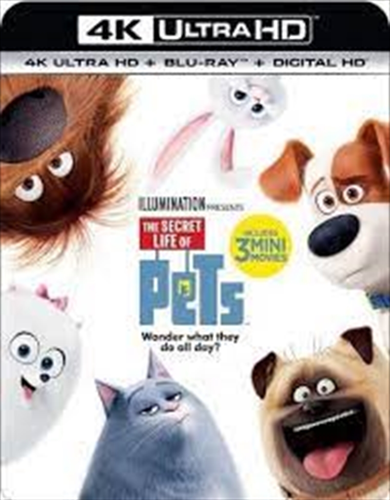 Secret Life Of Pets/Product Detail/Animated