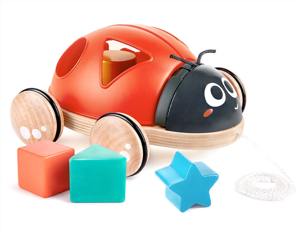 Hape Shape-Sorter Ladybug/Product Detail/Toys