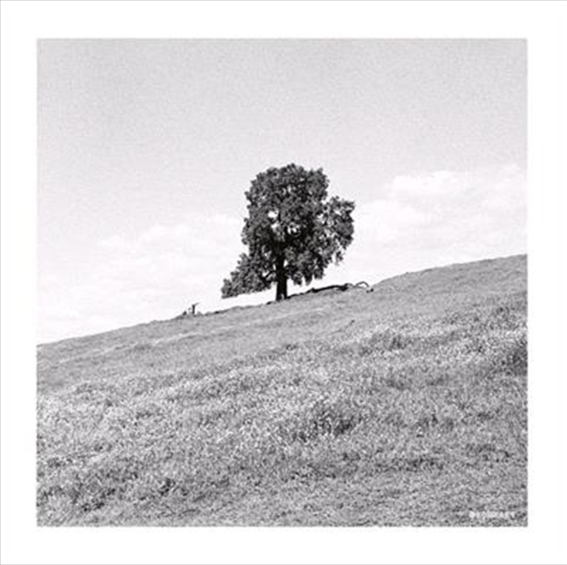 Cornered/Product Detail/Dance