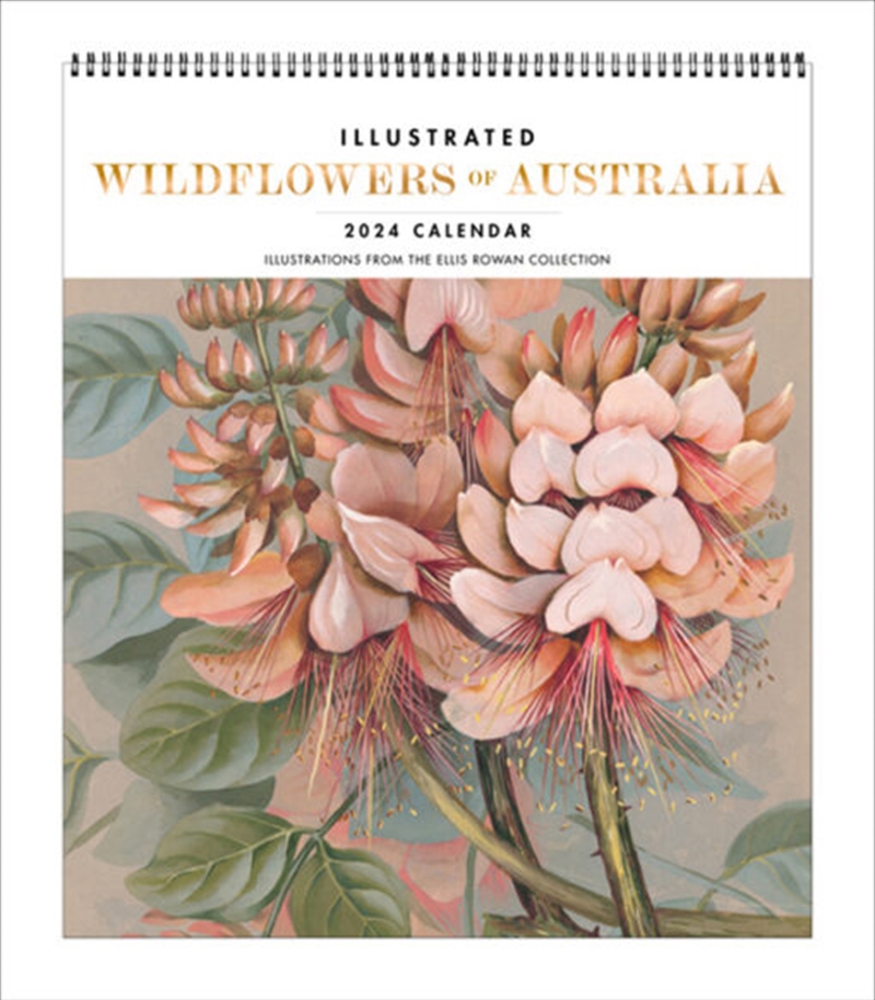 Illustrated Wildflowers of Australia 2024/Product Detail/Calendars & Diaries