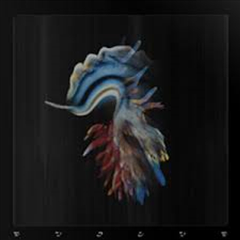 Evolve/Product Detail/Dance