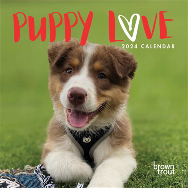 Puppy Love 2024 Square/Product Detail/Calendars & Diaries