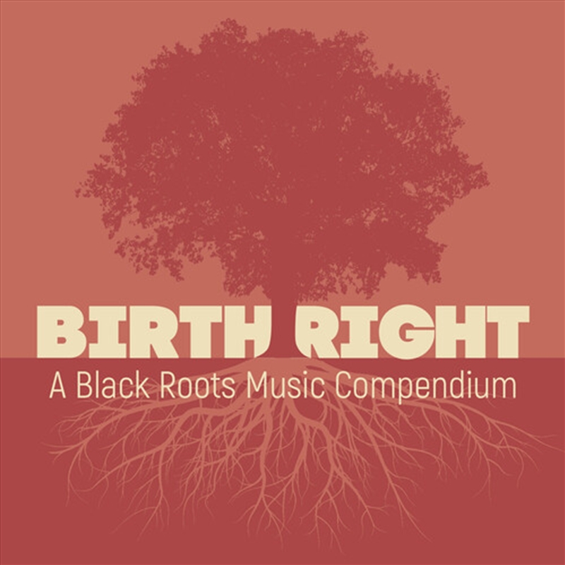 Birthright- A Black Roots Music Compendium (Various Artists)/Product Detail/Blues